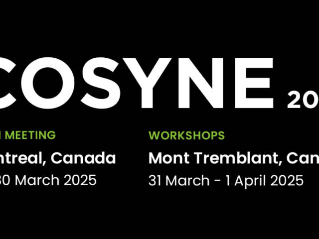 COSYNE 2025
